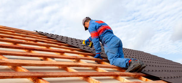 Best Roof Moss and Algae Removal  in Prichard, AL